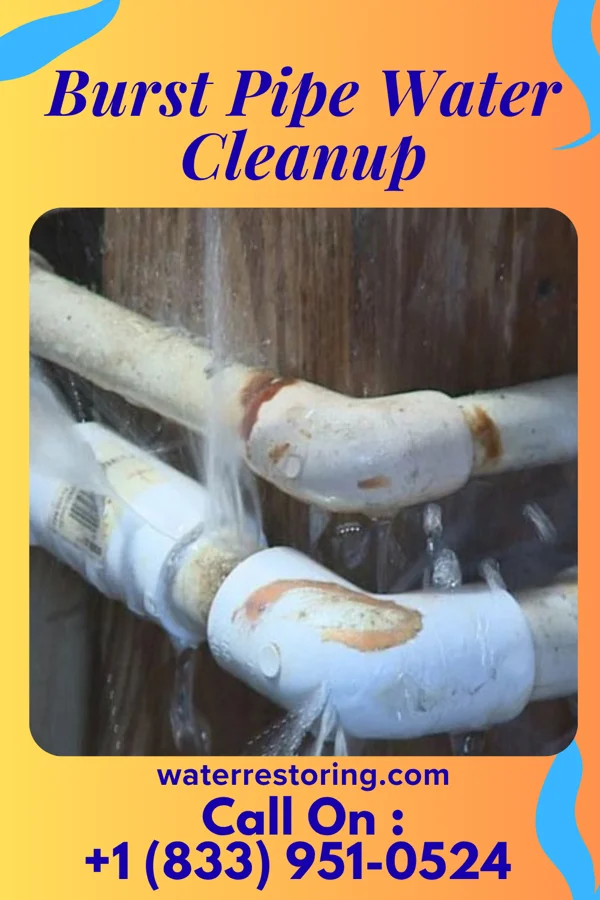 Burst Pipe Water Cleanup in Asbury Park, NJ