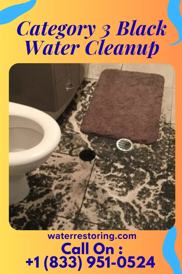 Category 3 Black Water Cleanup in Asbury Park, NJ