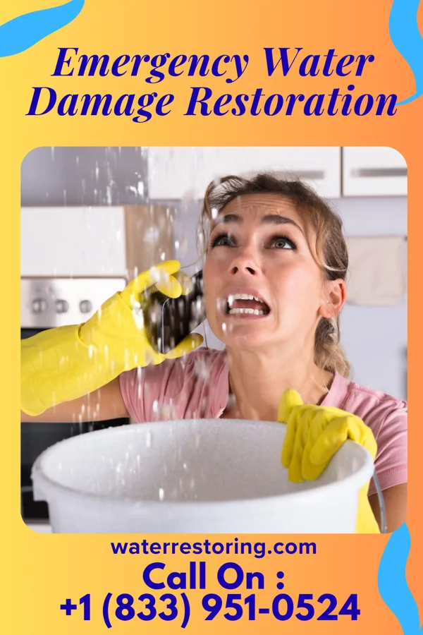 Emergency Water Damage Restoration in Asbury Park, NJ