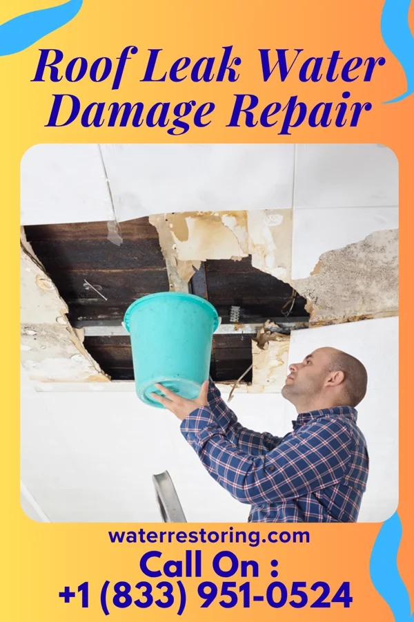 Roof Leak Water Damage Repair in Asbury Park, NJ