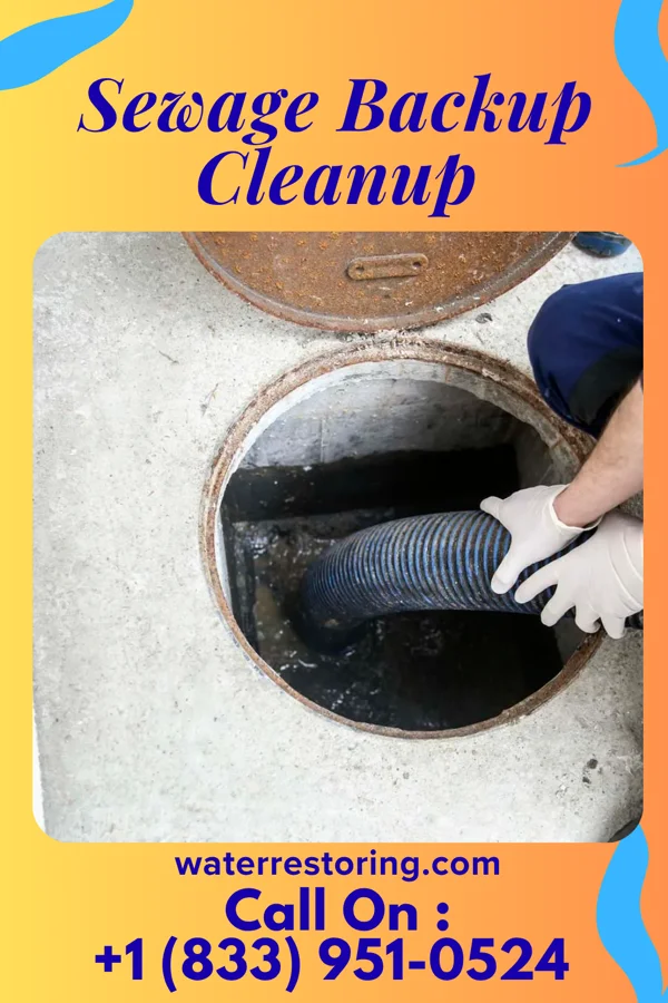 Sewage Backup Cleanup in Asbury Park, NJ